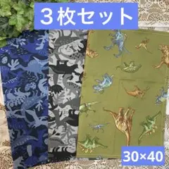 ３枚組★ランチョンマット★給食ナフキン★ダイナソーB