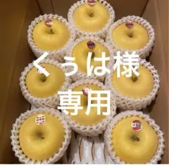 くぅは様専用同梱