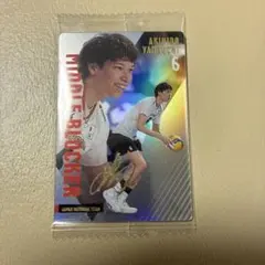 Item thumbnail for item c1241856-ce5a-4826-9b97-9d1cc4fbfe1e