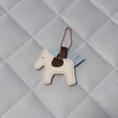 ハットクリップ　ホース　マグネット
