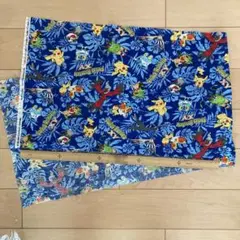 ポケットモンスターXY リップル生地　約22cm x 100cm