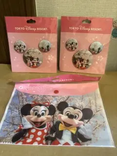 東京ディズニーリゾート ピンバッジ・缶バッジ　ケースセットNO.5