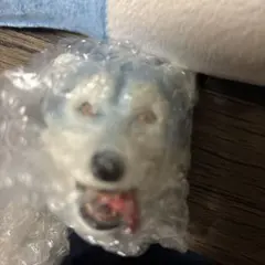 一番くじ MAN WITH A MISSION マグネット