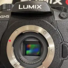 【LUMIX】美品GH5 +V-Log撮影可能　おまけ付 LUMIX】美品GH5 +V-Log撮影可能 おまけ付