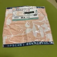 ポケモンわくわくゲットくじ2012 H賞タオル