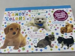 平成レトロ♡】子犬プロフ帳CANDY COLORSメモ帳 実写犬 - メルカリ