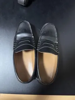 Item thumbnail for item 867ff883-79ec-4666-8754-9c83c7827d76