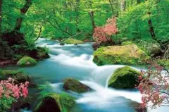 2026年最新】奥入瀬渓流の人気アイテム - メルカリ