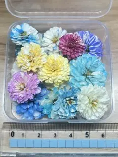 さんちゃん24様 リクエスト 2点 まとめ商品