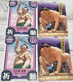 Item thumbnail for item fbb50c2f-1770-4f06-960f-5bcaaed9398f