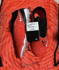 Item thumbnail for item bff545b5-cd8d-4145-bf33-1bfdfff48ed3