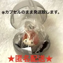 イ*ん様 【新品、未開封】BLEACH めじるしアクセサリー　尸魂界篇　黒崎一護