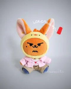 TXT ファンチュン WALK TOGETHER ぬい服 上下2点セット - メルカリ