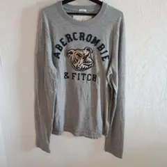 Abercrombie & Fitch 長袖カットソー グレーのサムネイル