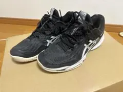 ASICS テニスシューズ コートFF 27.5 オムニクレー