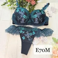 新品/ワコール/サルート/ブラ&ショーツanan 掲載 倉科カナさん/C75/M