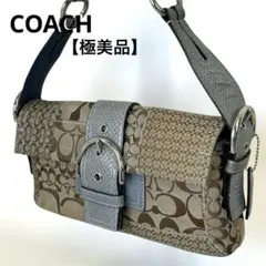 COACH Soho Patchwork Python Shoulder Bag