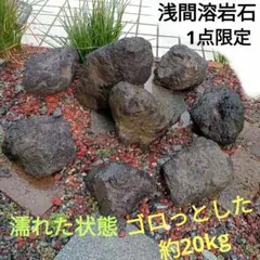 【浅間溶岩石】1点限定✨　ゴロっとした石大きめ中と中　約20kgのサムネイル