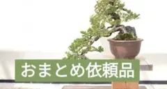 さくら様 リクエスト 2点 まとめ商品