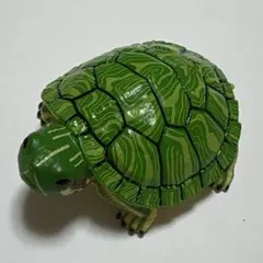亀　フィギュア