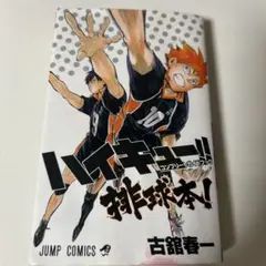 ハイキュー!! コンプリートガイドブック 排球本!