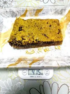 日本蜜蜂の巣蜜　良質部分をカットしています。のサムネイル