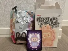 Item thumbnail for item 1163e423-2dac-449b-9c19-a6f0fd982e93