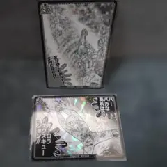 聖闘士星矢 トレーディングカード 氷河 2枚セット