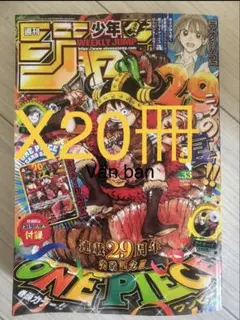 週刊少年ジャンプ 33号 ワンピース付録カード付きx14冊セット - メルカリ