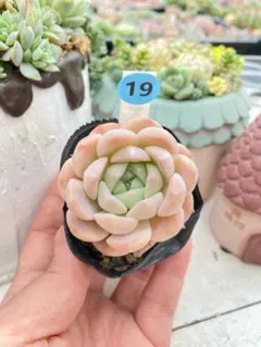 momo様 リクエスト 3点 まとめ商品