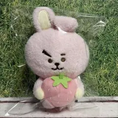 bt21 クッキー ぬいぐるみ いちご