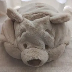 Disney　プーさん　ファンキャップ　ベージュ　ディズニー　帽子