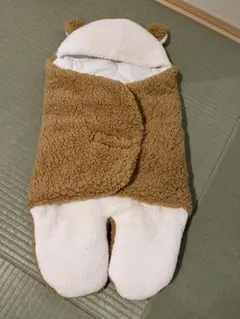 Item thumbnail for item 1d4caaa3-32f7-4af7-a8bf-3e930b4e7072