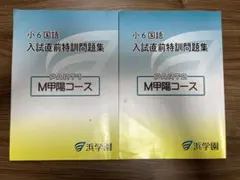 2026年最新】浜学園 小2 テキストの人気アイテム - メルカリ