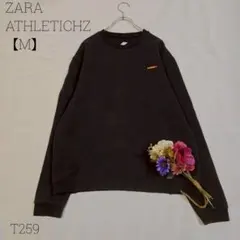 Item thumbnail for item 742092e1-f6c9-4f56-ae4a-e987ffc01295