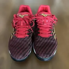 ミズノプロトレーニングシューズ