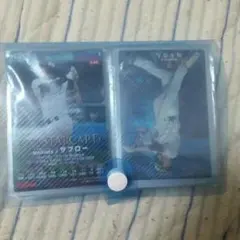 プロ野球カード大量セット