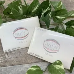 Item thumbnail for item ed4c80d6-e704-47a5-bf24-379c1132bd4b