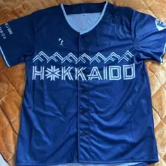 Item thumbnail for item 6d80068e-5e62-4adb-88d4-2c7b7452028b