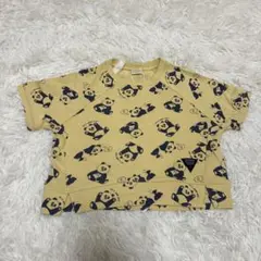 Item thumbnail for item 6dc214d5-5a99-4f07-ba70-f260b332a43e