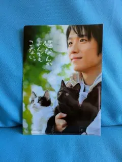 映画 猫なんかよんでもこない。A4クリアファイル　風間俊介のサムネイル