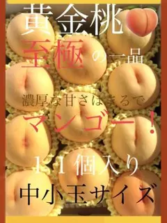 B級品 完熟 太良マンゴーおいしい野菜研究室7.5キロ B級品 完熟 太良マンゴーおいしい野菜研究室様専用7.5キロ - メルカリ
