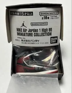 NIKE エアジョーダン ミニチュアコレクション ガチャ BLACKRED