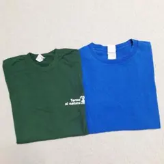 2枚セット フルーツオブザルーム Tシャツ【M】サイズ 青 緑 企業系古着