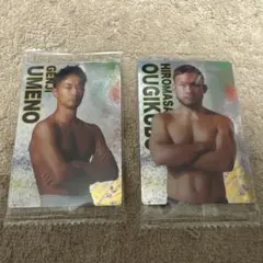 Item thumbnail for item e993f3ff-85e6-450a-9ec8-d929583521f2