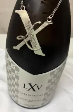 2026年最新】xlv シャンパンの人気アイテム - メルカリ