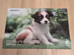 Item thumbnail for item 2cadecb0-6e13-400c-a7d2-c2a9542bda84