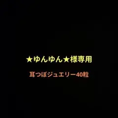 【★ゆんゆん★様専用】耳つぼジュエリー40粒セット