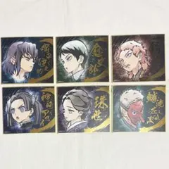 鬼滅の刃　ビジュアル色紙コレクション　全16種　6枚セット