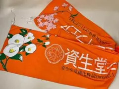 資生堂 のぼり旗 カラーの美学 スキンケア レトロポップデザイン